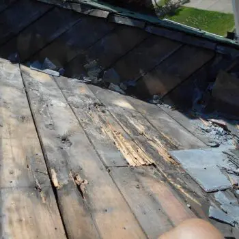 Damaged roof shingles needing repair