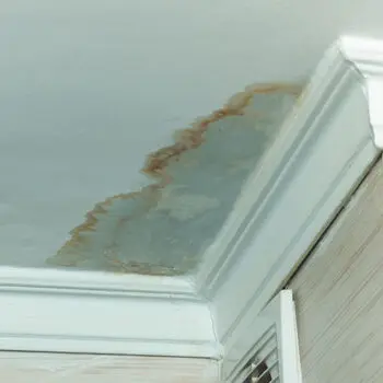 Ceiling water damage repair needed