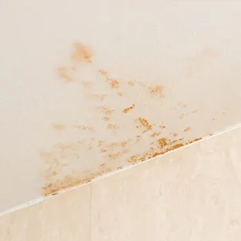 Water damage on ceiling